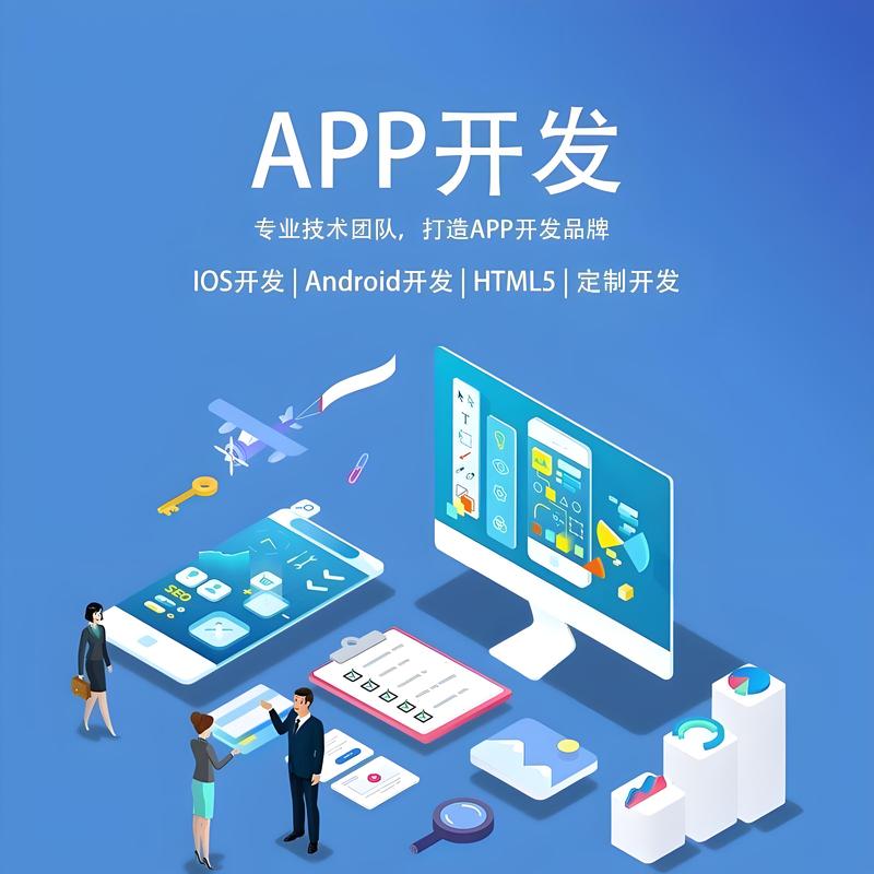软件开发：构建数字桥梁